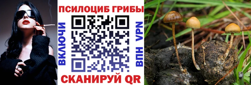Галлюциногенные грибы MAGIC MUSHROOMS Неман